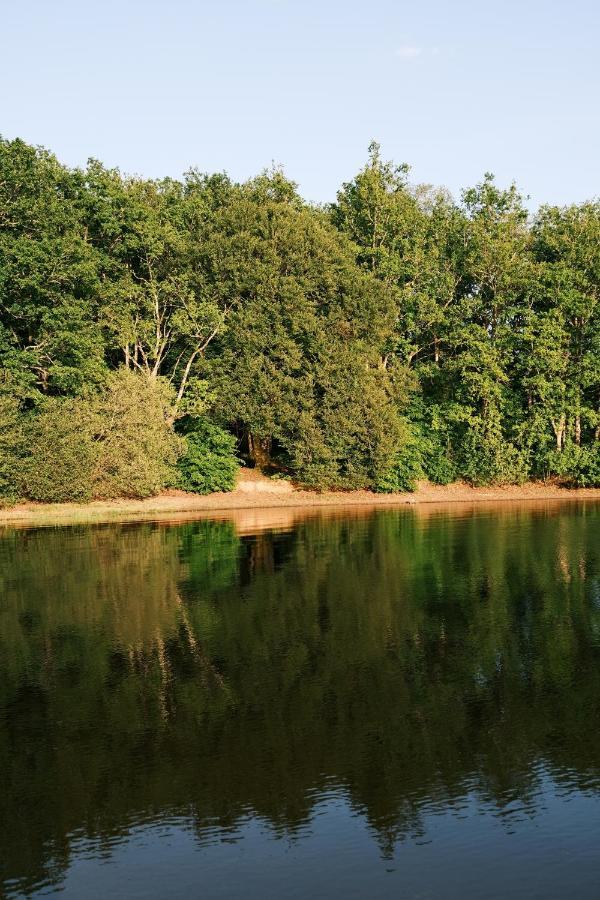 Lodge Avec Spa Privatif - Foret Et Lac Liginiac Exterior photo