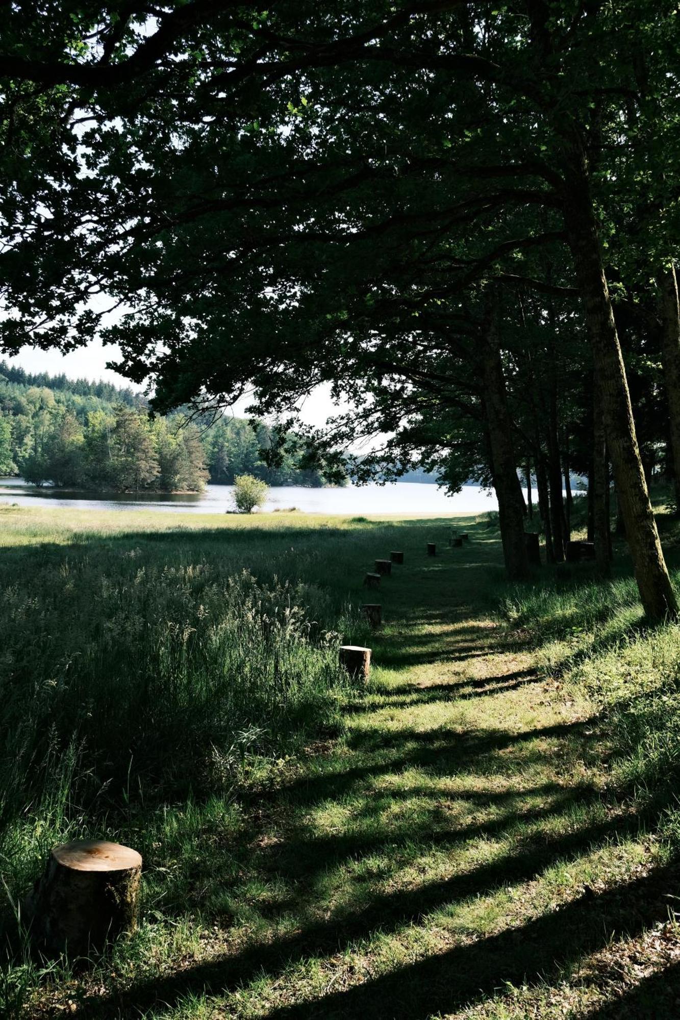 Lodge Avec Spa Privatif - Foret Et Lac Liginiac Exterior photo
