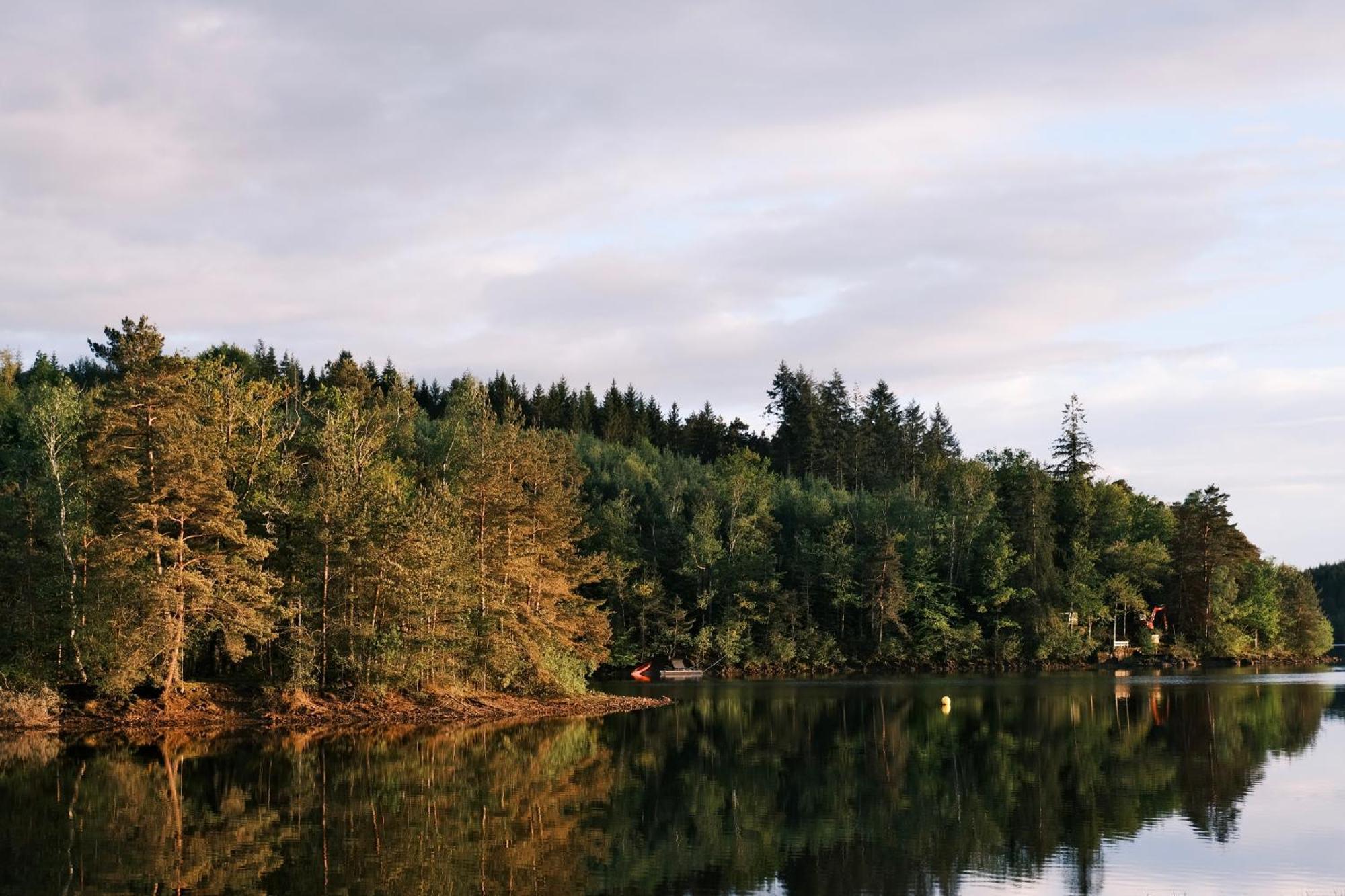 Lodge Avec Spa Privatif - Foret Et Lac Liginiac Exterior photo